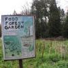Food forest, context