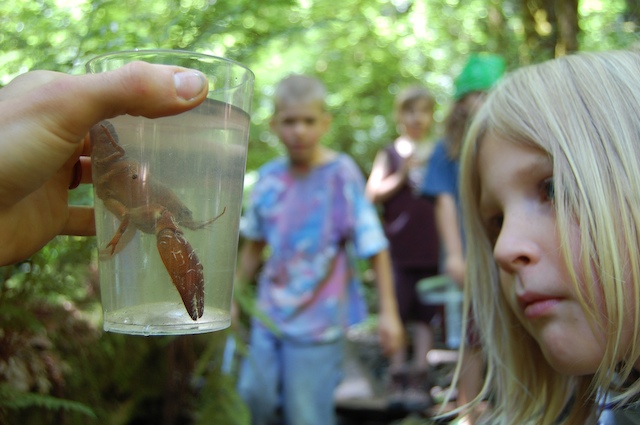 kid looking at jar