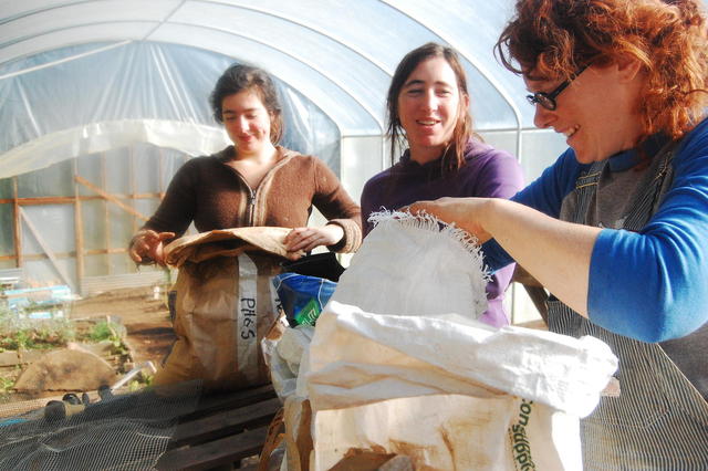 Group in Greenhouse 