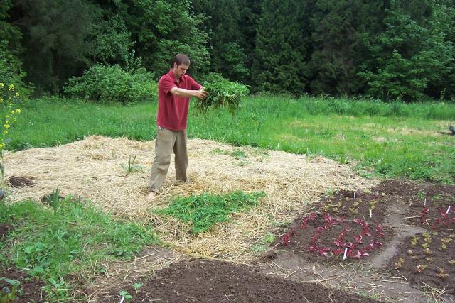 sheet mulching