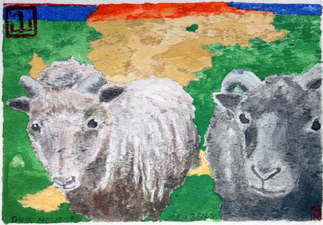 Shetland Sheep painting by Bonsai Matt