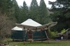 Yurt and Butterfly