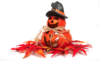Halloween Pumpkin CC0