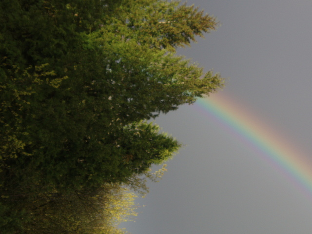 rainbow at the farm