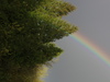 rainbow at the farm