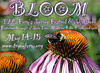 bloom2011.jpg