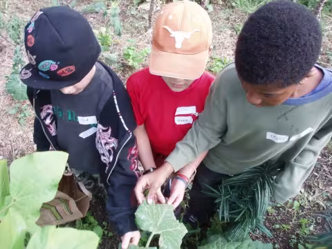 Kids looking at plants