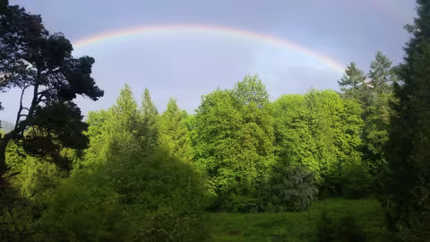 TLC Rainbow