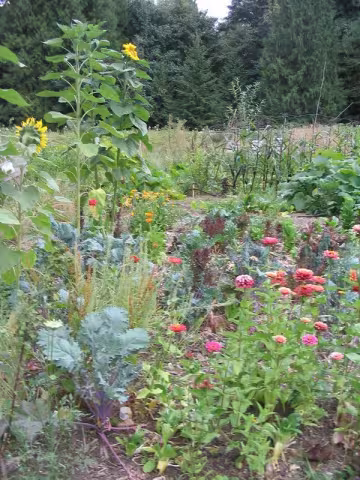 Flowers and Food